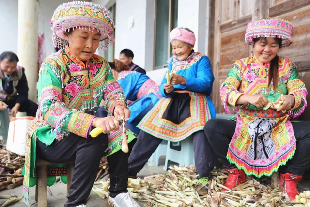 宜宾山上这种“宝贝”产值竟高达1.2亿元！好多人都去寻找、采收……(图9)