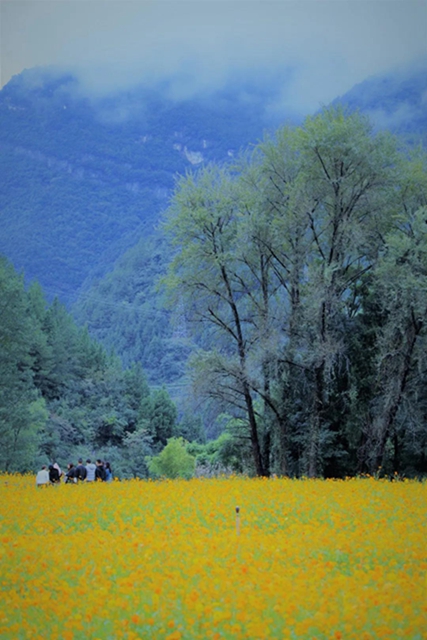 市州"吸金"哪家强?四川黄金周旅游数据来了!(图8) 市州"吸金"哪家强?四川黄金周旅游数据来了!(图8)