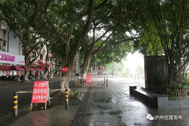 泸州长江滨江路修复工程开工 预计下月底前完成(图2)
