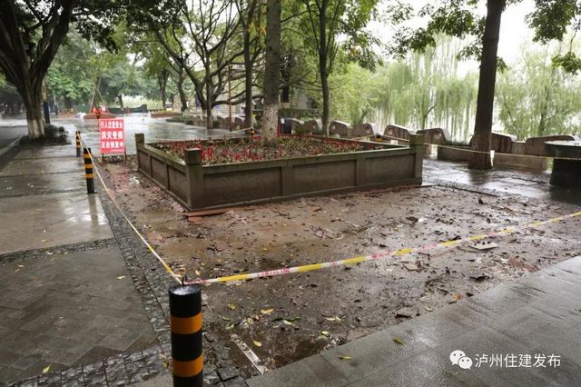 泸州长江滨江路修复工程开工 预计下月底前完成(图4)