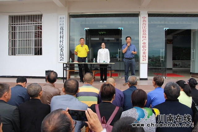 国家荔枝龙眼产业技术体系首席专家陈厚彬到园区实地培训荔枝管护技术(图2)