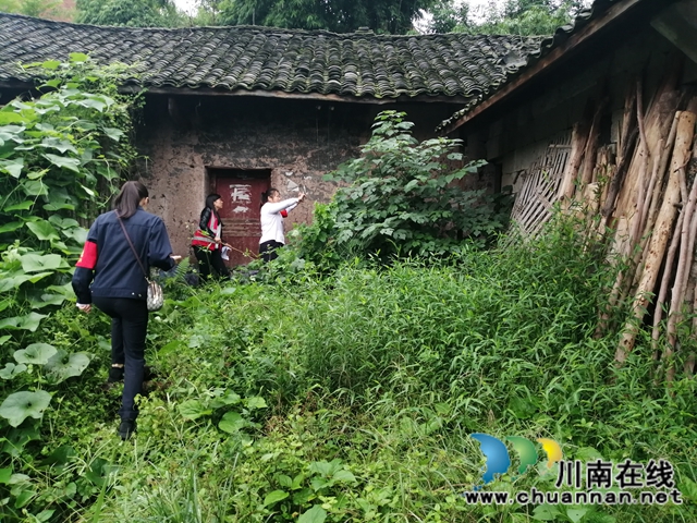 内江经开区靖民镇石马村开展禁种铲毒排查活动(图1)