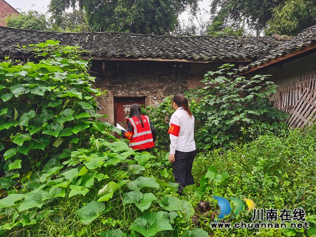 内江经开区靖民镇石马村开展禁种铲毒排查活动(图2)