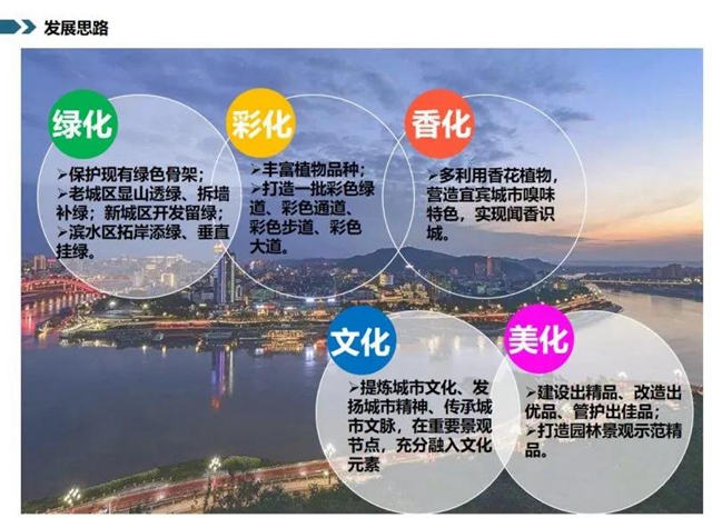 128个项目大手笔!宜宾未来美景可期(图1) 128个项目大手笔!宜宾未来美景可期(图1)