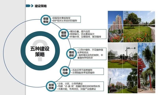 128个项目大手笔!宜宾未来美景可期(图7) 128个项目大手笔!宜宾未来美景可期(图7)