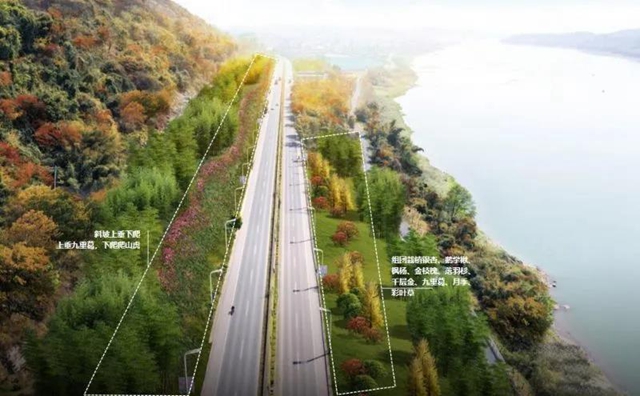 128个项目大手笔!宜宾未来美景可期(图9) 128个项目大手笔!宜宾未来美景可期(图9)