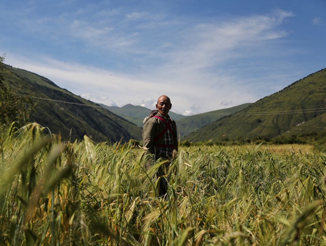 命运的转折——写在四川甘孜藏族自治州建州70年之际(图5)