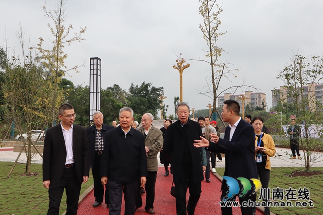 泸县退休老干部到云龙镇视察工作(图4)