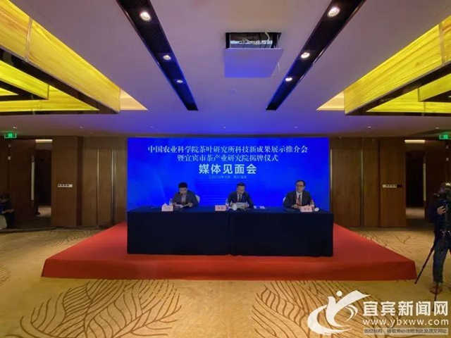 2.68万元/公斤!宜宾这款茶拍出高价(图6) 2.68万元/公斤!宜宾这款茶拍出高价(图6)