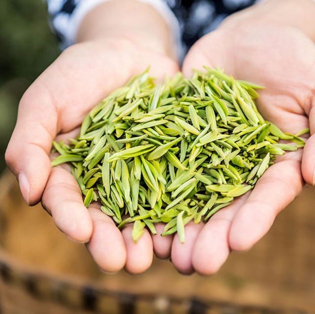 2.68万元/公斤!宜宾这款茶拍出高价(图10) 2.68万元/公斤!宜宾这款茶拍出高价(图10)