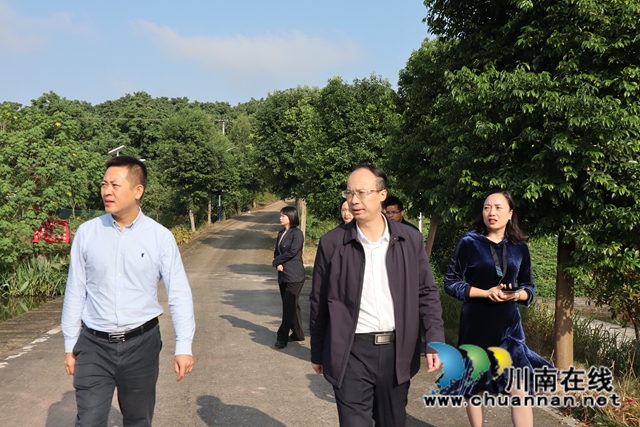 肖春到泸县云龙镇督导农村党员分类管理工作(图3)