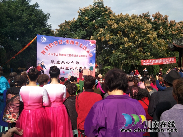 龙马潭区红星街道大驿坝社区开展“我们的节日·重阳节”主题活动(图2)