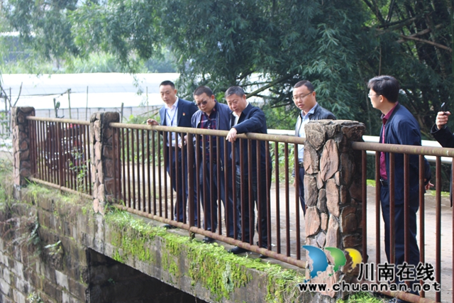 杨双全率队督导泸县小鹿溪河河长制工作(图2)