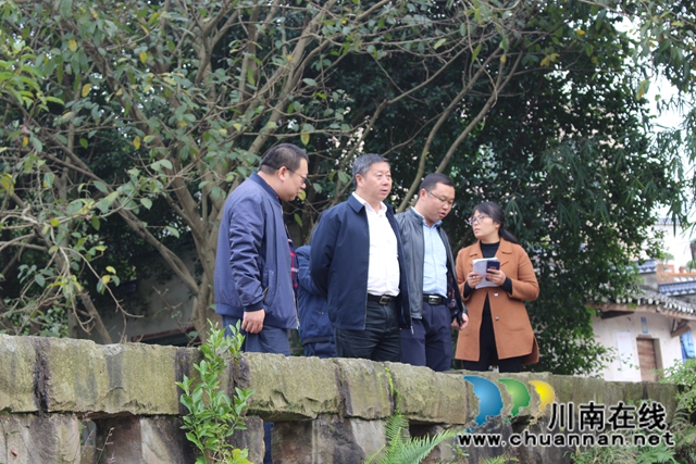 杨双全率队督导泸县小鹿溪河河长制工作(图3)