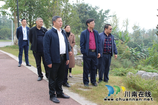 杨双全率队督导泸县小鹿溪河河长制工作(图1)