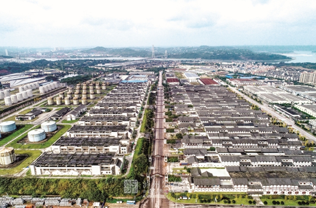 泸酒冲刺“双千亿”(图6)