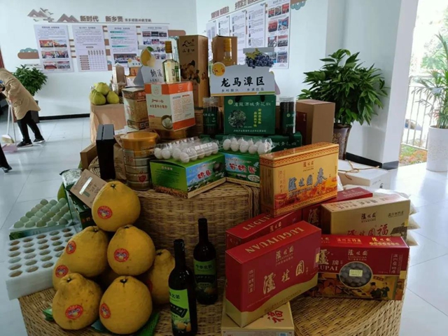 上下联动推动乡贤工作上台阶(图12)