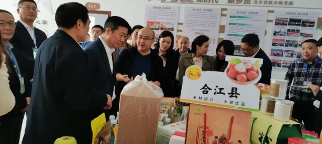 上下联动推动乡贤工作上台阶(图9)