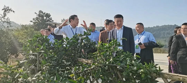 上下联动推动乡贤工作上台阶(图14)