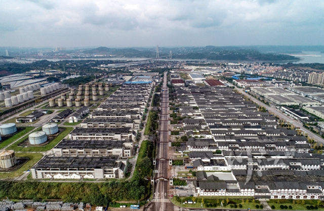 中国白酒的价值和机遇何在？行业专家在泸州给出了答案(图4)