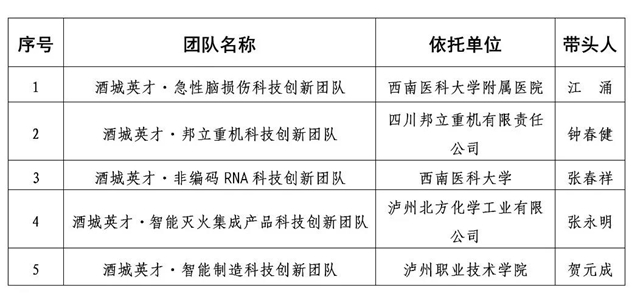 公示丨泸州市2020年度“酒城英才”拟入选名单出炉!(图1) 公示丨泸州市2020年度“酒城英才”拟入选名单出炉!(图1)