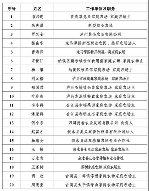 公示丨泸州市2020年度“酒城英才”拟入选名单出炉!(图7) 公示丨泸州市2020年度“酒城英才”拟入选名单出炉!(图7)