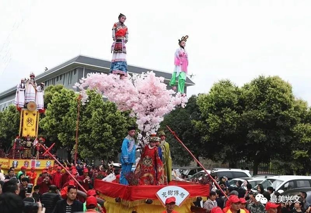 宜宾百岁老人过生日！现场发生这一幕令人……(图14)