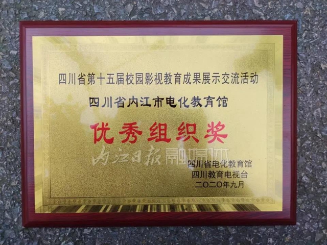 一等奖33个！省上传来佳音，内江大丰收！(图5)