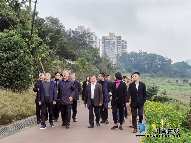 生态环境部西南督察局赴龙马潭区罗汉街道开展现场督察(图1)