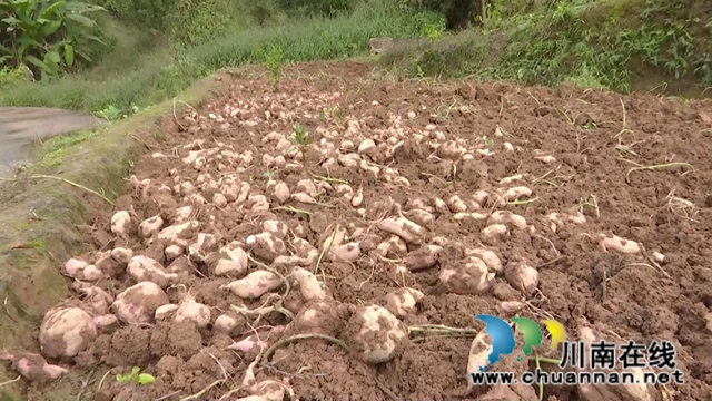 合江脱贫榜样李成结:七旬老人的幸福小康(图5) 合江脱贫榜样李成结:七旬老人的幸福小康(图5)