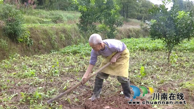 合江脱贫榜样李成结:七旬老人的幸福小康(图4) 合江脱贫榜样李成结:七旬老人的幸福小康(图4)