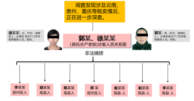 涉案超千万！宜宾警方打掉4个犯罪团伙，抓了43人！(图4)