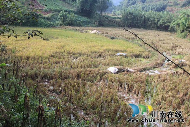 纳溪：相邻通行起纠纷，多元调解化纷争(图1)