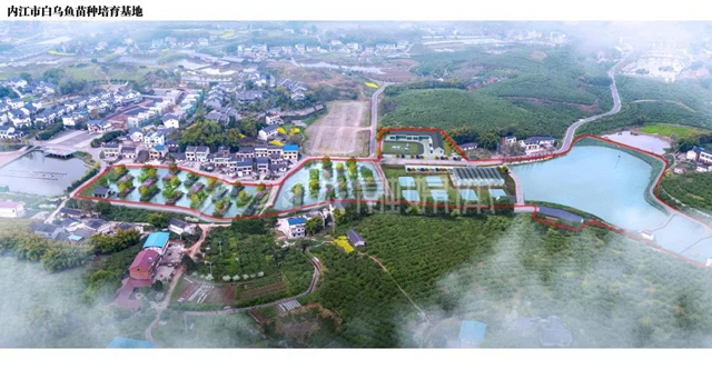 打破纪录!内江4个科技项目入围省级科技大奖(图3) 打破纪录!内江4个科技项目入围省级科技大奖(图3)