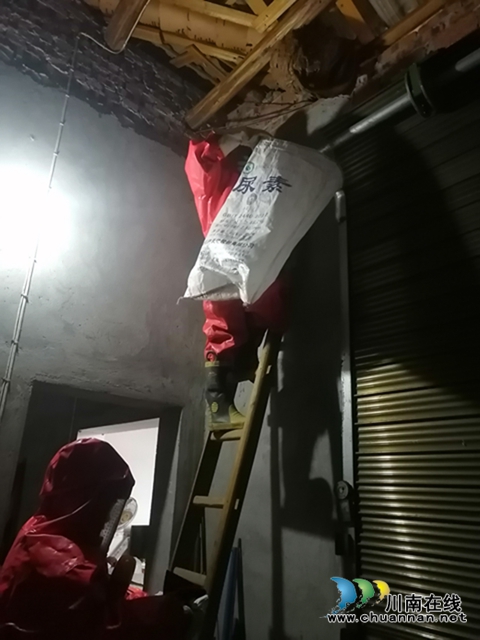 马蜂威胁群众安全 泸县龙城救援队为民排忧(图5) 马蜂威胁群众安全 泸县龙城救援队为民排忧(图5)
