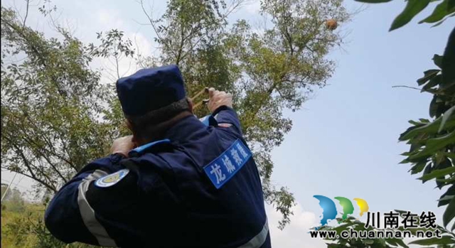 马蜂威胁群众安全 泸县龙城救援队为民排忧(图4) 马蜂威胁群众安全 泸县龙城救援队为民排忧(图4)