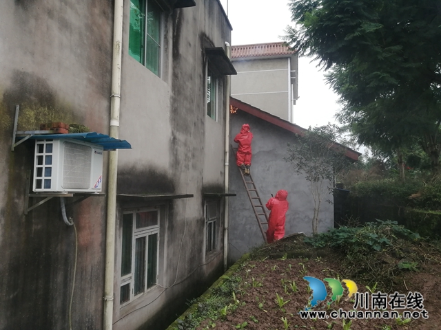 马蜂威胁群众安全 泸县龙城救援队为民排忧(图2) 马蜂威胁群众安全 泸县龙城救援队为民排忧(图2)