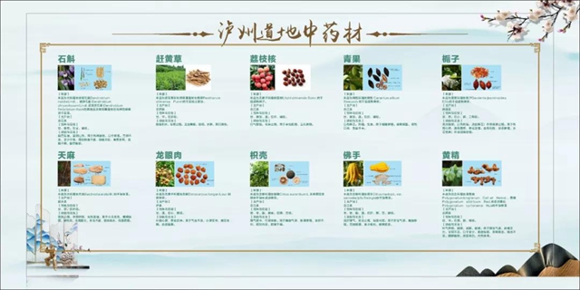 【提醒】11月10日，泸州报恩塔，我们不见不散！(图3)