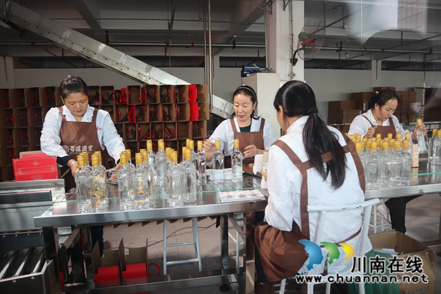 蒋凌燕率队到泸县云龙镇开展女企业家调研(图3)