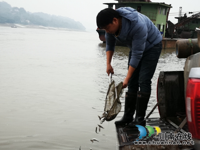 合江、江津两地法院联合开展环资司法宣传活动(图3)