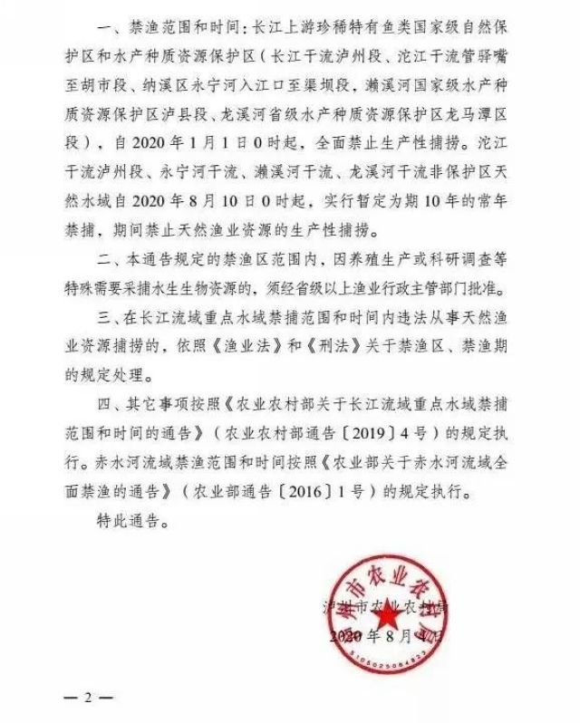 泸州:一夜电翻近400斤鱼,这两弟兄遭了(图2) 泸州:一夜电翻近400斤鱼,这两弟兄遭了(图2)