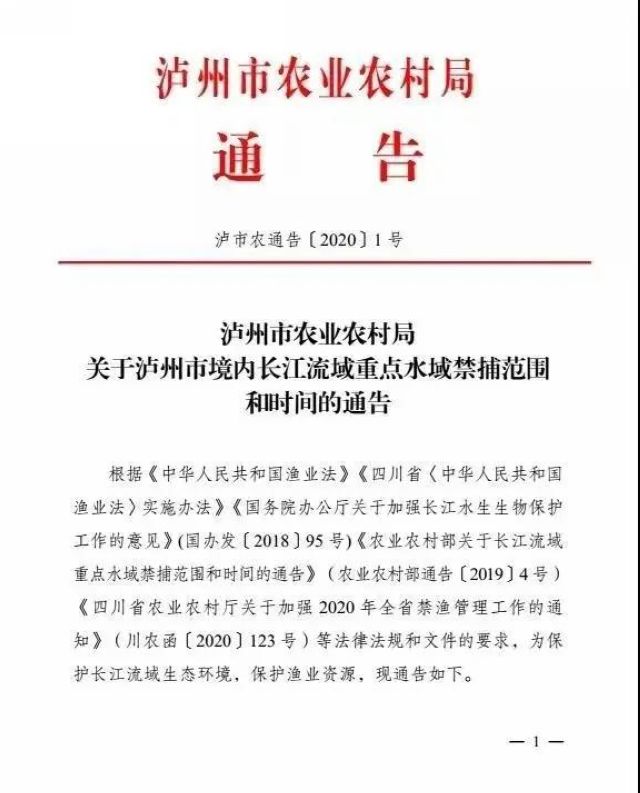 泸州:一夜电翻近400斤鱼,这两弟兄遭了(图1) 泸州:一夜电翻近400斤鱼,这两弟兄遭了(图1)