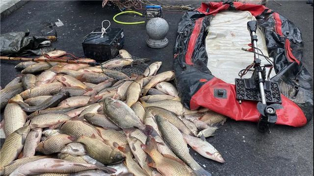 泸州:一夜电翻近400斤鱼,这两弟兄遭了(图8) 泸州:一夜电翻近400斤鱼,这两弟兄遭了(图8)