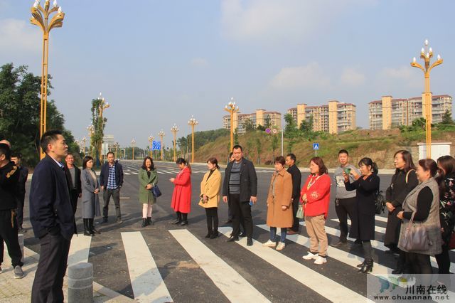 泸县云龙镇开展2020年人大代表调研活动(图1)