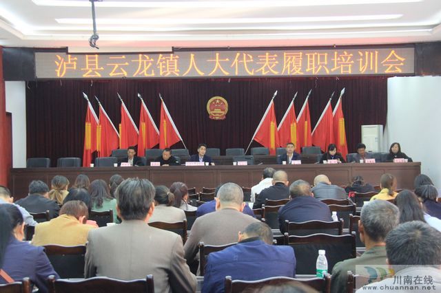 泸县云龙镇开展2020年人大代表调研活动(图3)