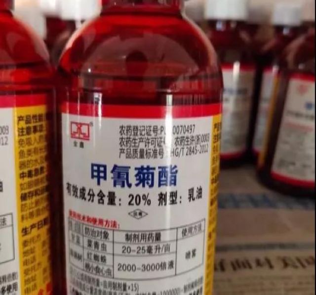 气愤！为吃3斤鱼，遵义4男子投毒致22万条鱼死亡(图3)