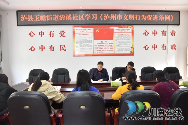 泸县玉蟾街道开展学习贯彻《泸州市文明行为促进条例》活动(图3)