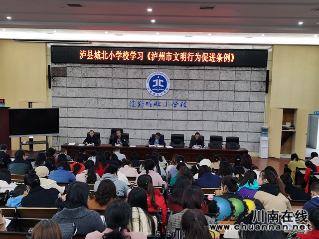 泸县玉蟾街道开展学习贯彻《泸州市文明行为促进条例》活动(图1)