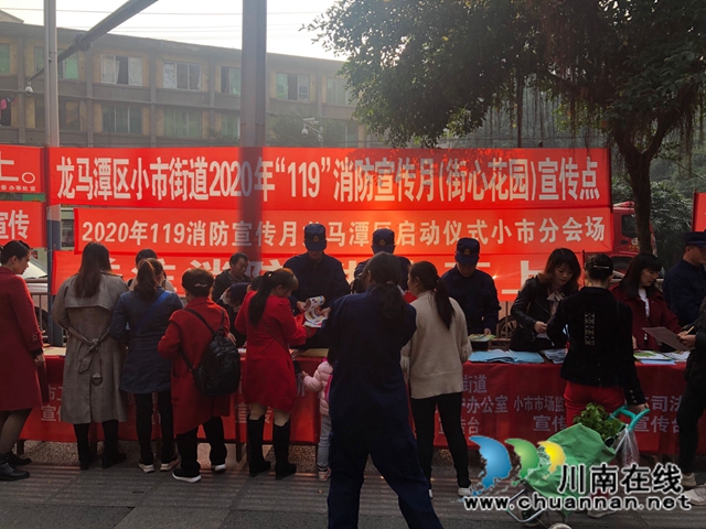 龙马潭区小市街道开展“119”消防日主题宣传活动(图2)