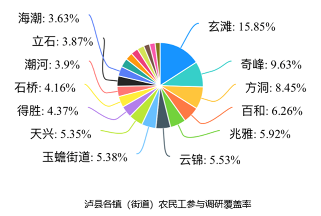 泸县开展农民工基本信息线上试点调查(图1)